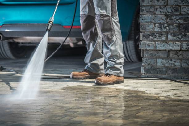 Best Gutter Cleaning  in Fort Valley, AZ